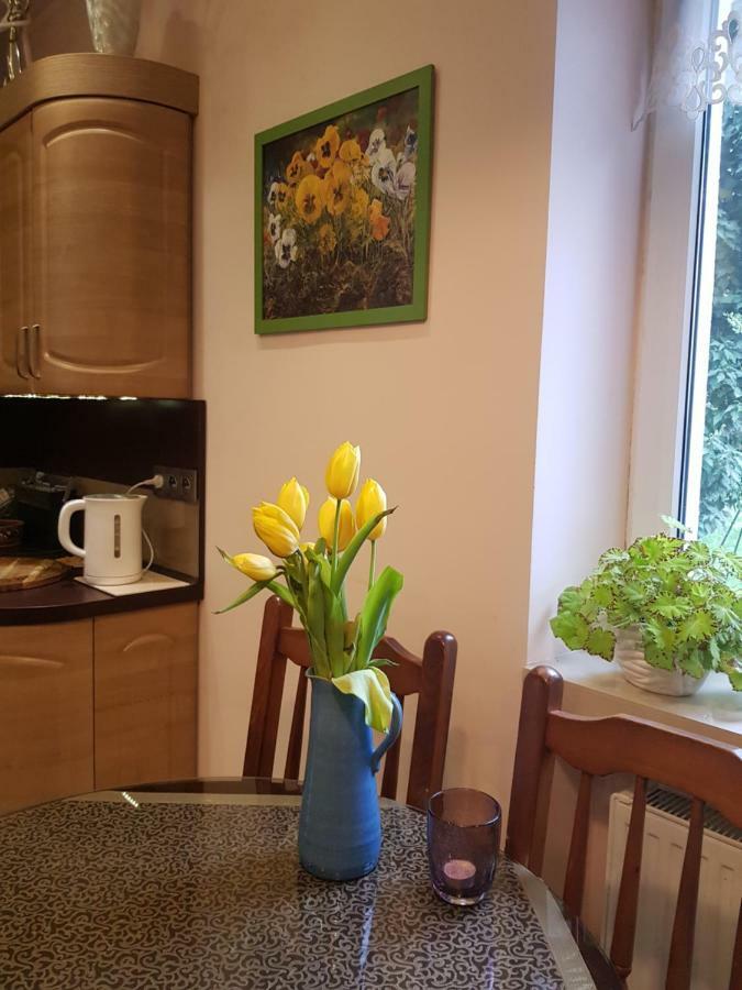 Aparthome Barbara 2 Stary Toruń Zewnętrze zdjęcie